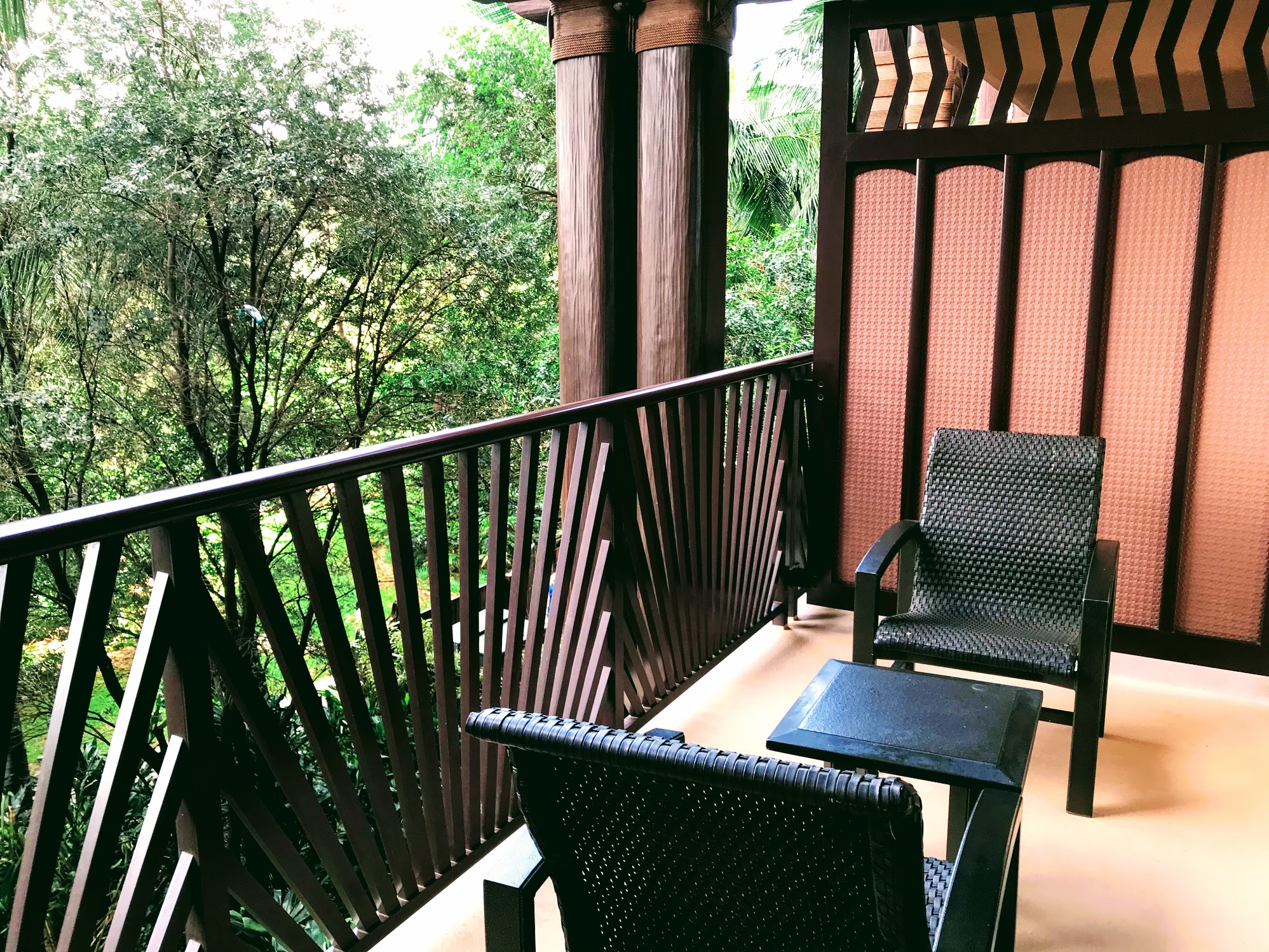 Room 533 ASVHR Balcony And View Right H