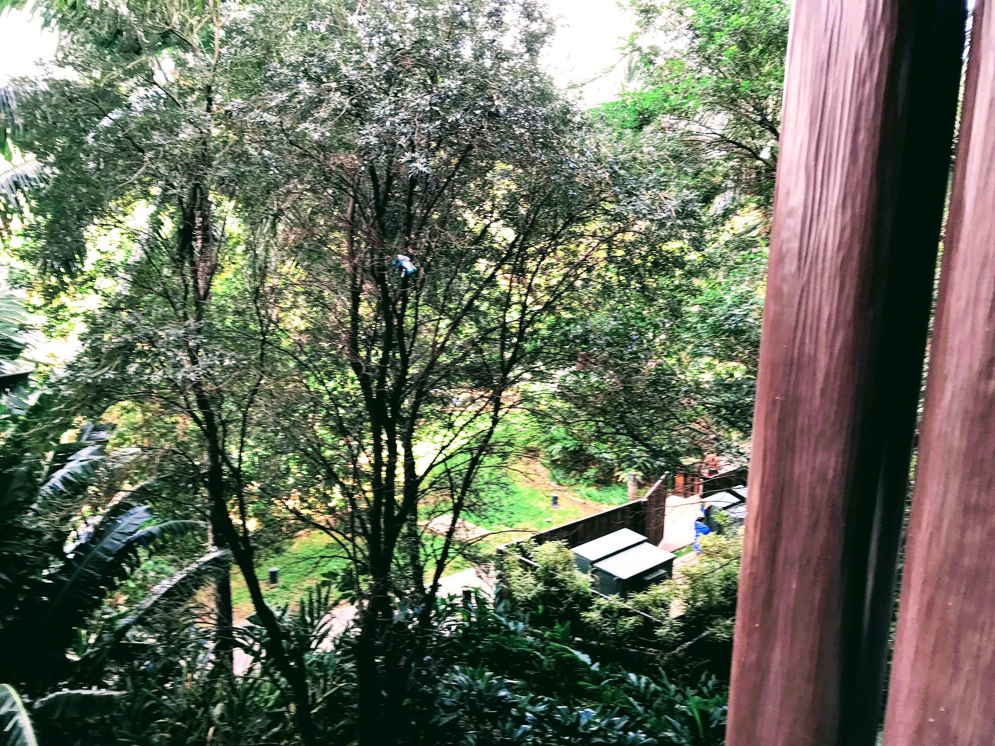 Room 533 ASVHR View Right H